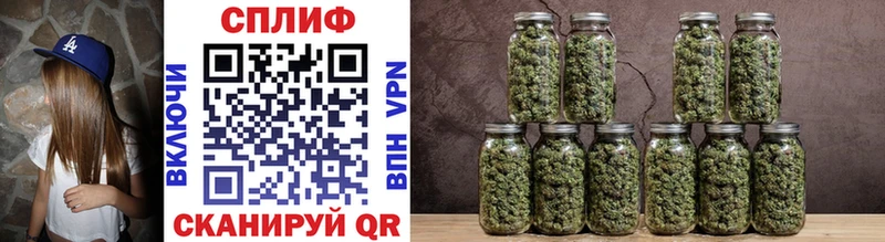 Канабис THC 21%  где купить   Питкяранта 